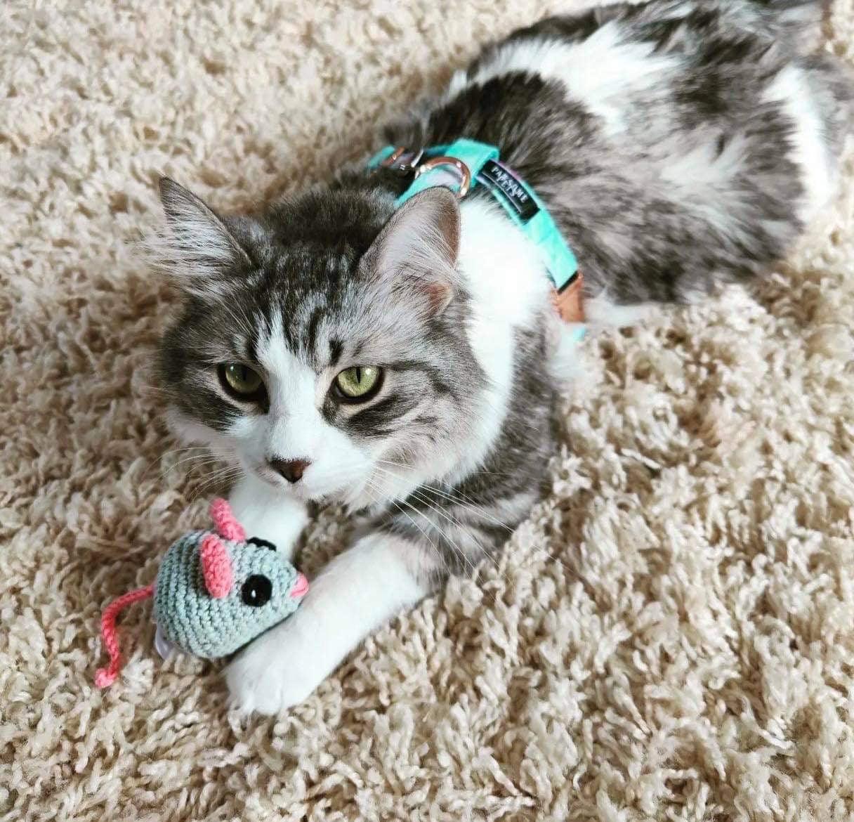 STEP IN BUNDLE - SKY (2 PIECES)